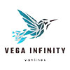 Vega infinity vanlines